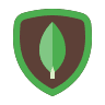 Skill icon